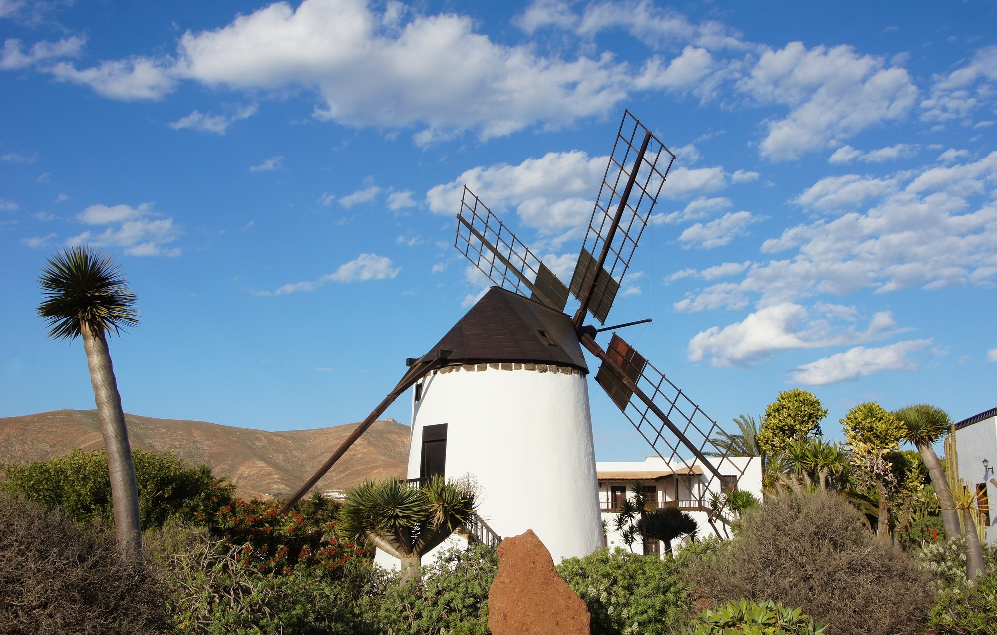 Windmühle von Tiscamanita